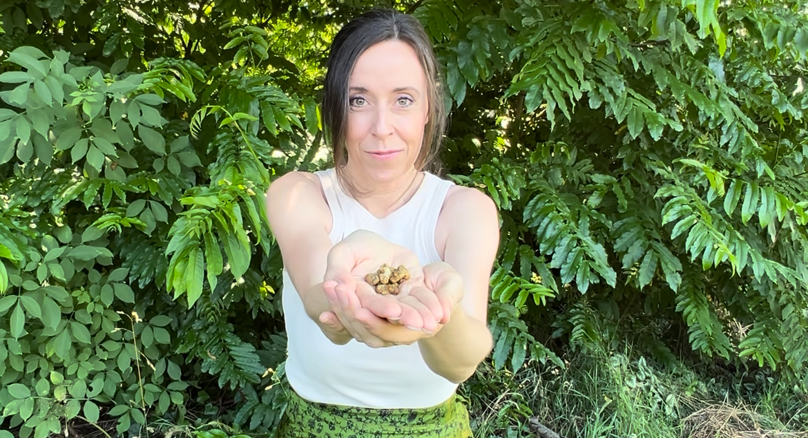 Portrait of Isabella Hegedüs