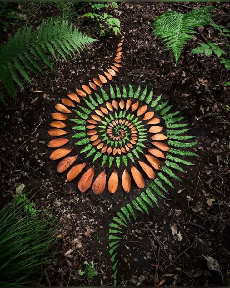 One-Day Psilocybin & Music Retreat