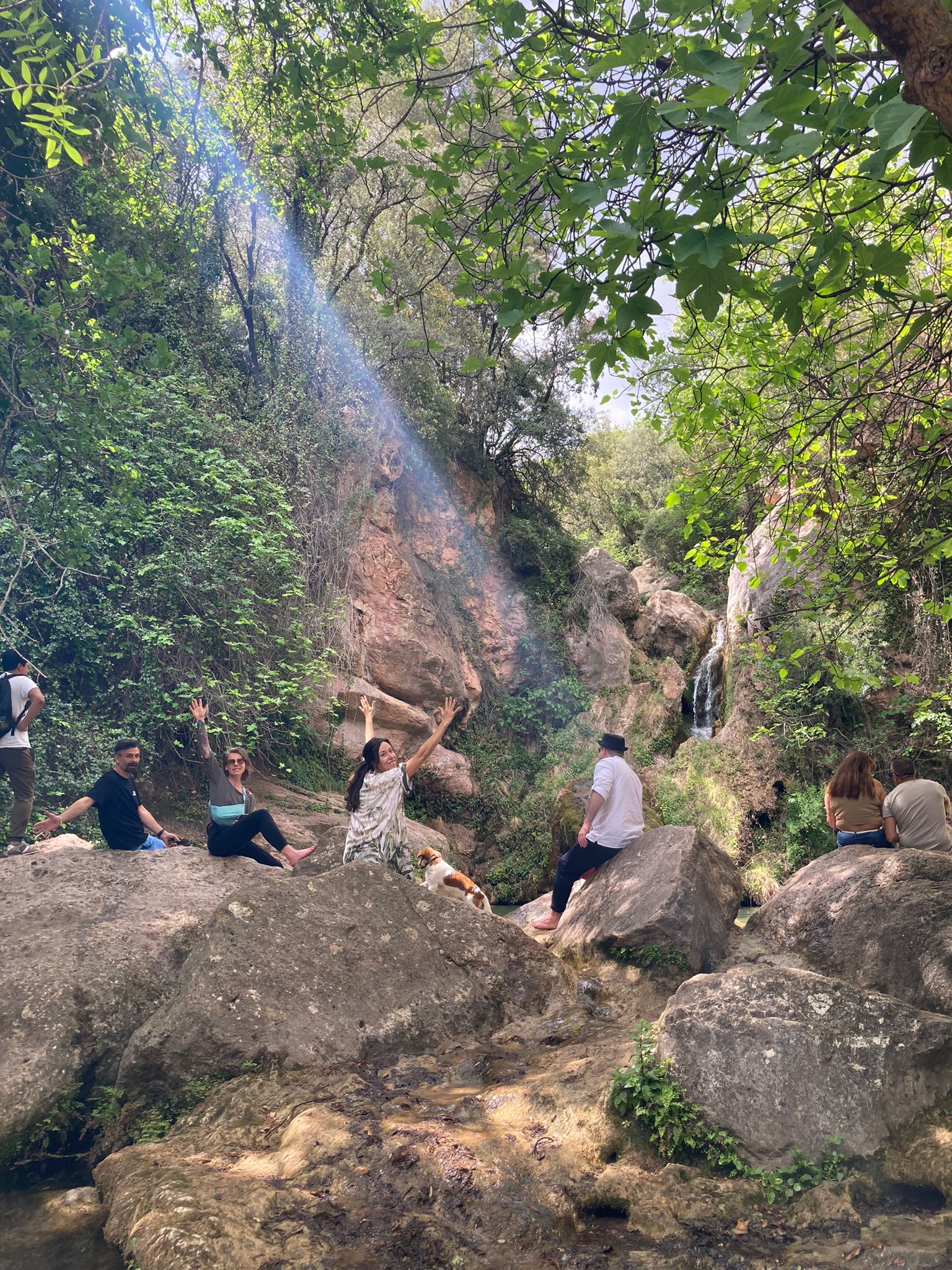 Group of people by a waterfall during a music retreat